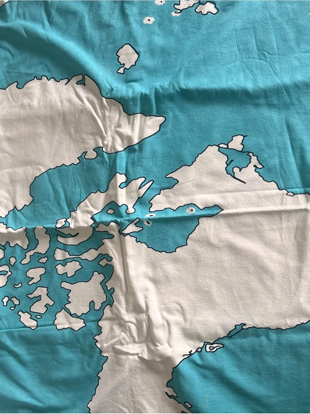 Urban Outfitters Blue and White World Map Shower Curtain